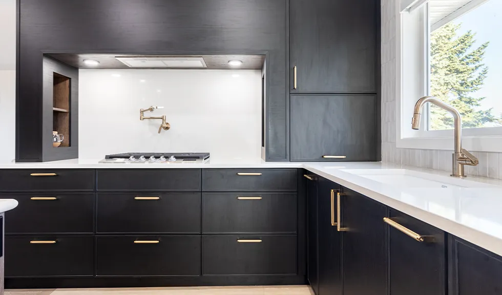 Kitchen_1_New Cabinets_2